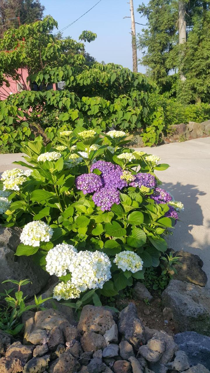 Jeju Mermuri Yerye-dong 外观 照片