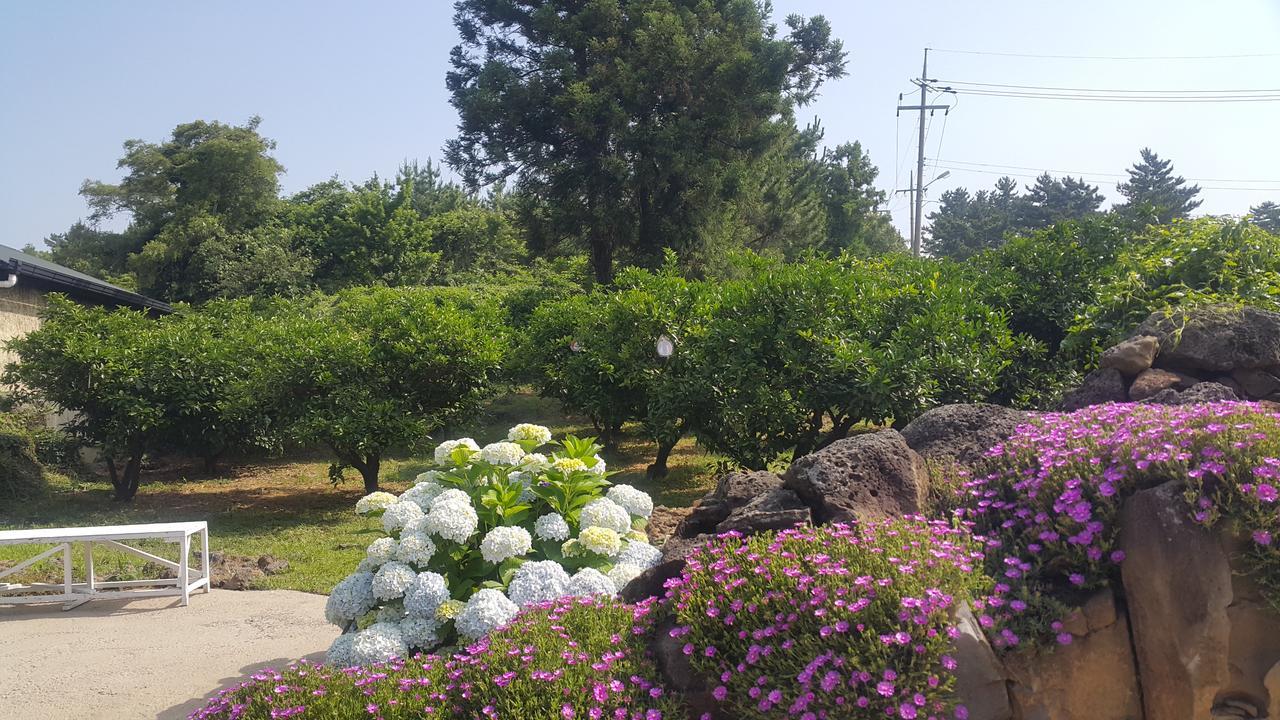 Jeju Mermuri Yerye-dong 外观 照片