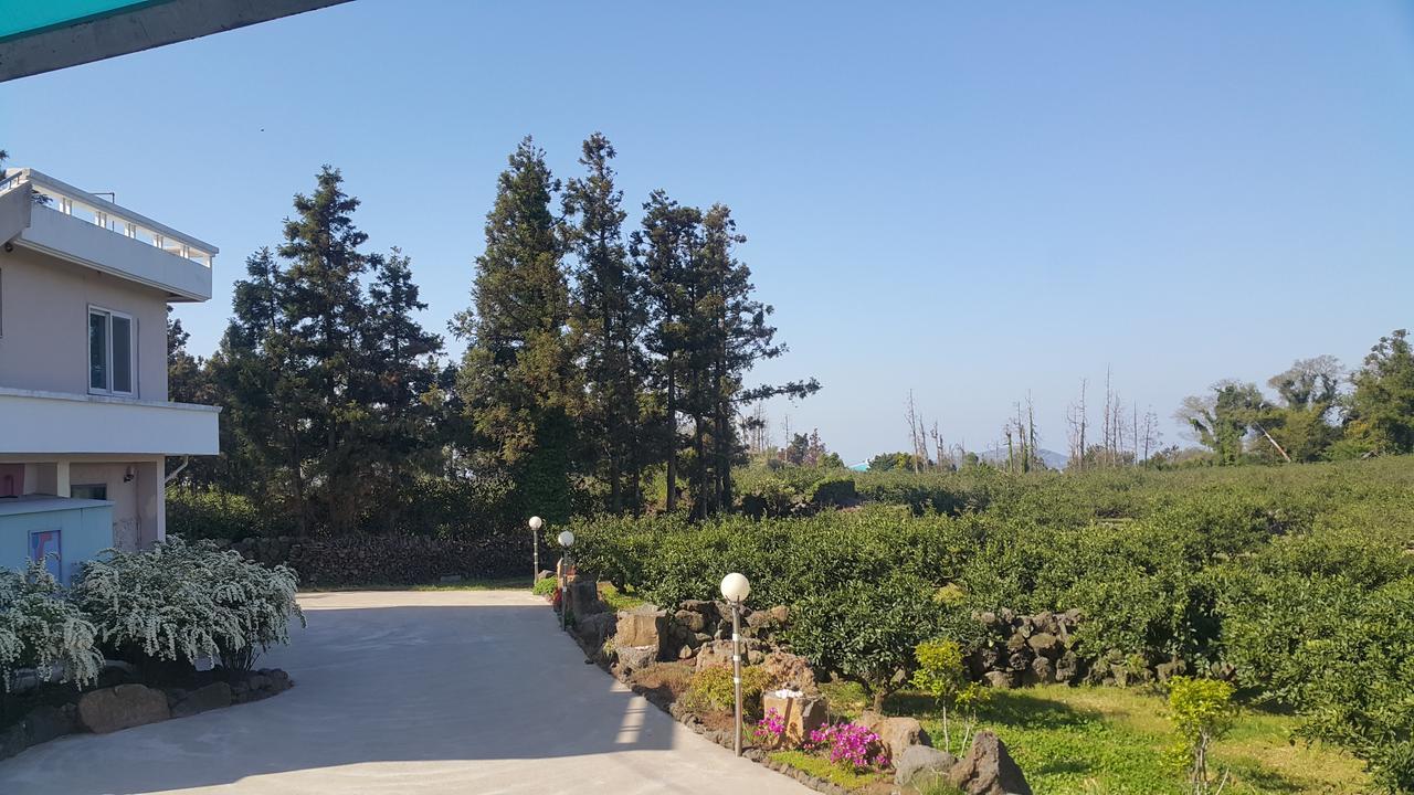 Jeju Mermuri Yerye-dong 外观 照片