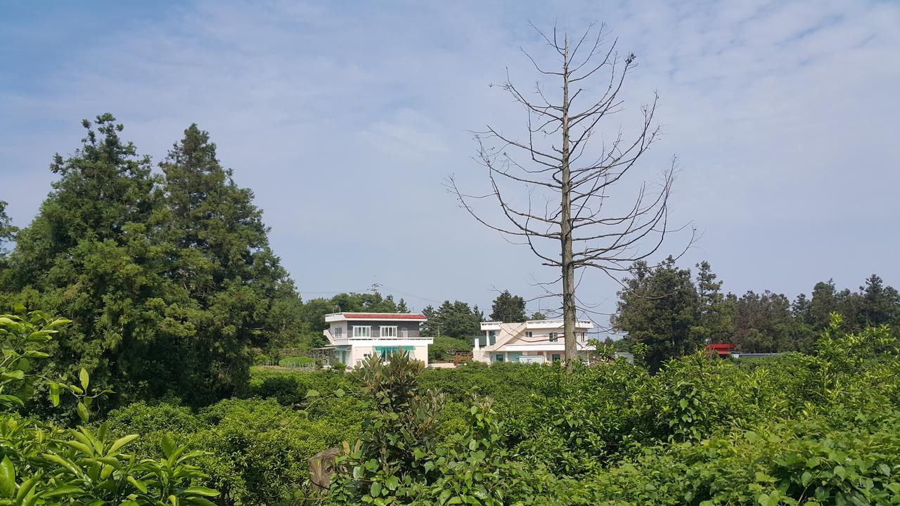 Jeju Mermuri Yerye-dong 外观 照片