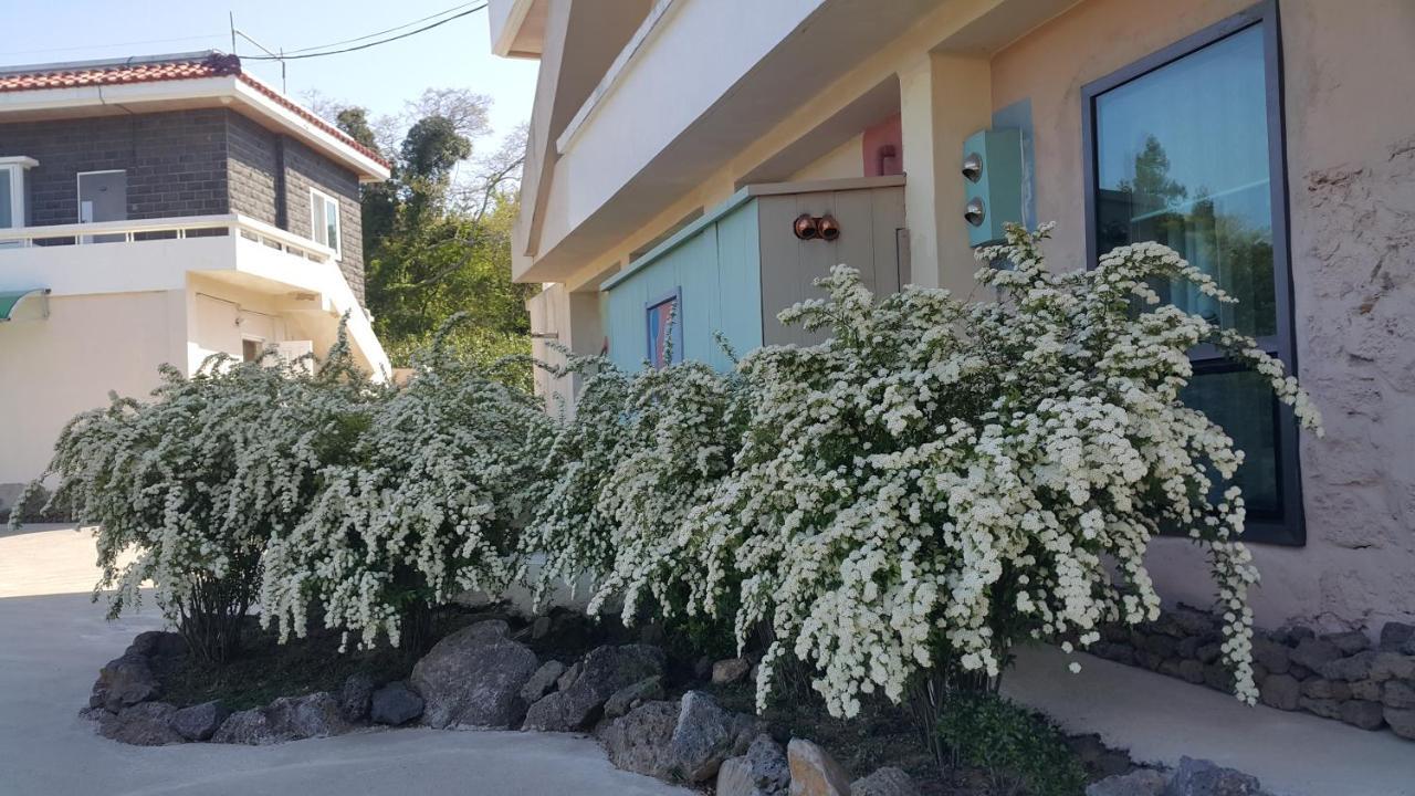 Jeju Mermuri Yerye-dong 外观 照片