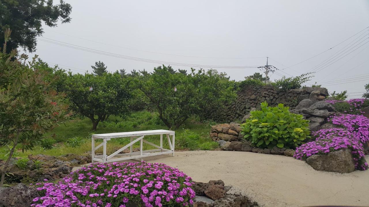 Jeju Mermuri Yerye-dong 外观 照片