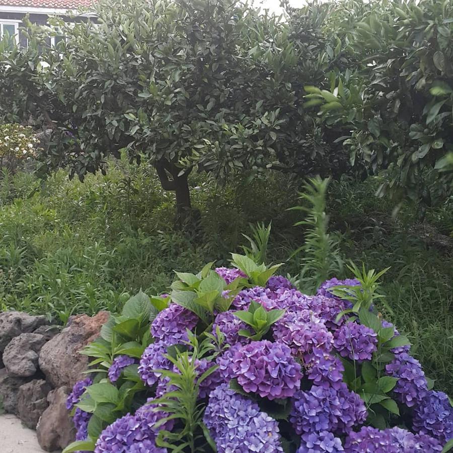 Jeju Mermuri Yerye-dong 外观 照片